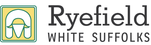 Ryefield White Suffolks